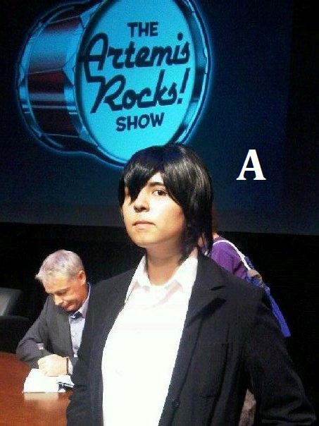 artemisfanA.JPG